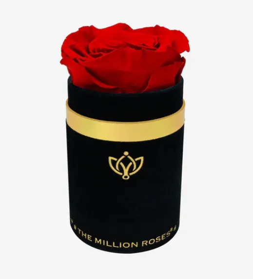 Single Black Suede Box